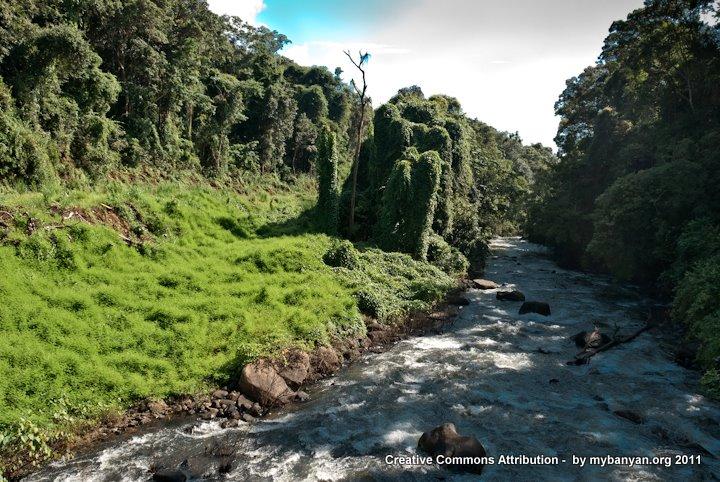 DSC_8198.jpg DSC_8198.jpg