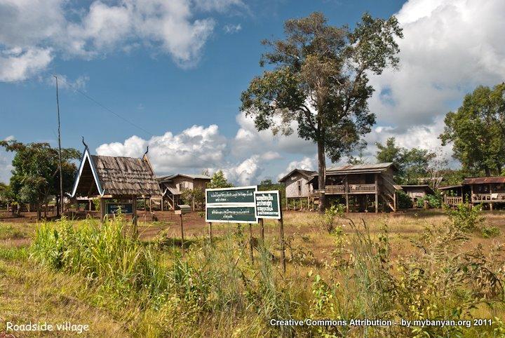 DSC_8210.jpg DSC_8210.jpg