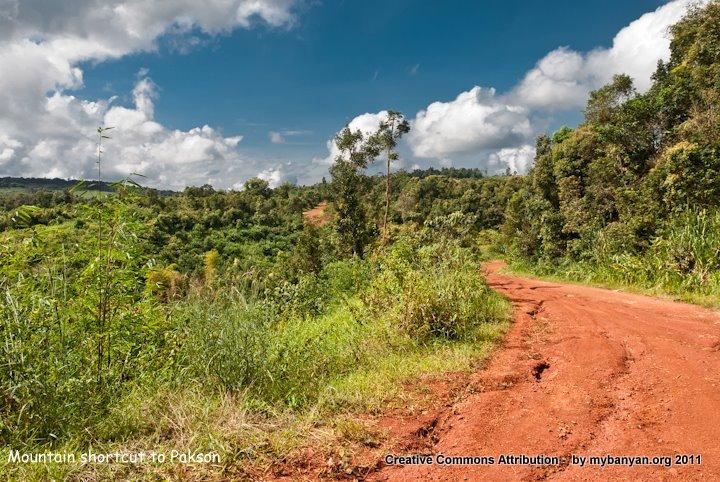 DSC_8215.jpg DSC_8215.jpg