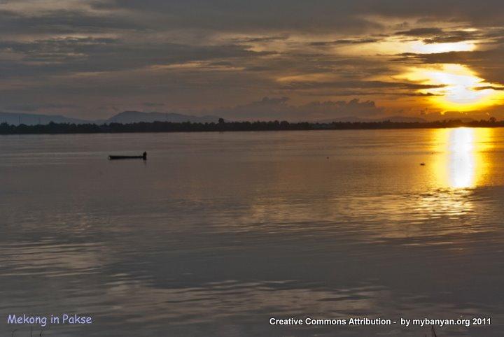 DSC_8239.jpg DSC_8239.jpg