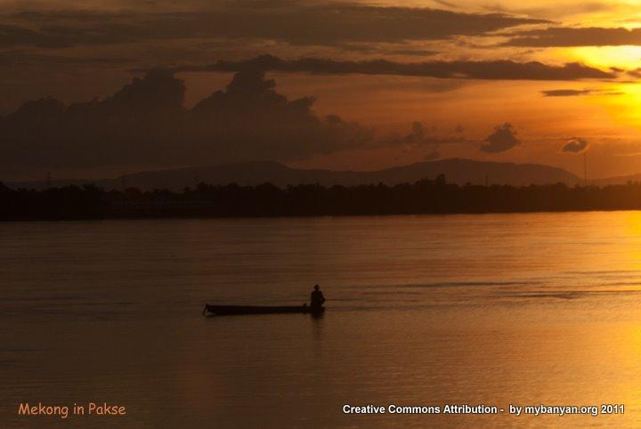 DSC_8247.jpg DSC_8247.jpg