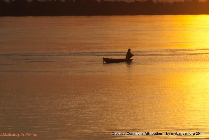 DSC_8254.jpg DSC_8254.jpg