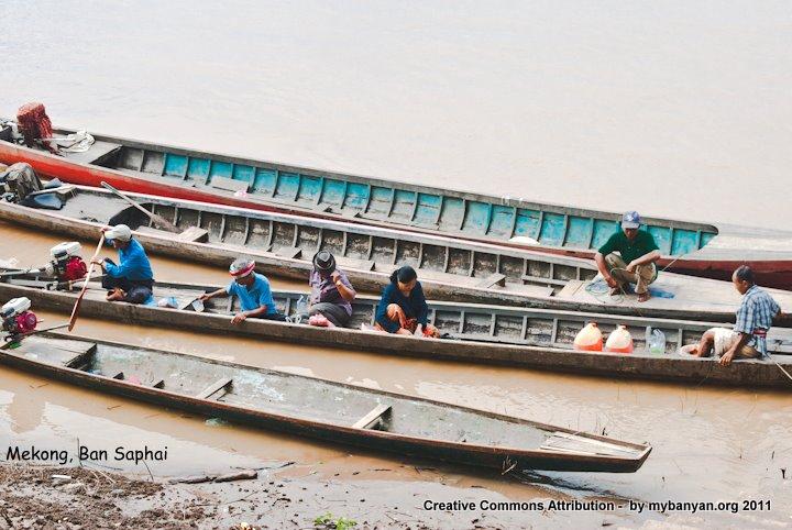 DSC_8298.jpg DSC_8298.jpg