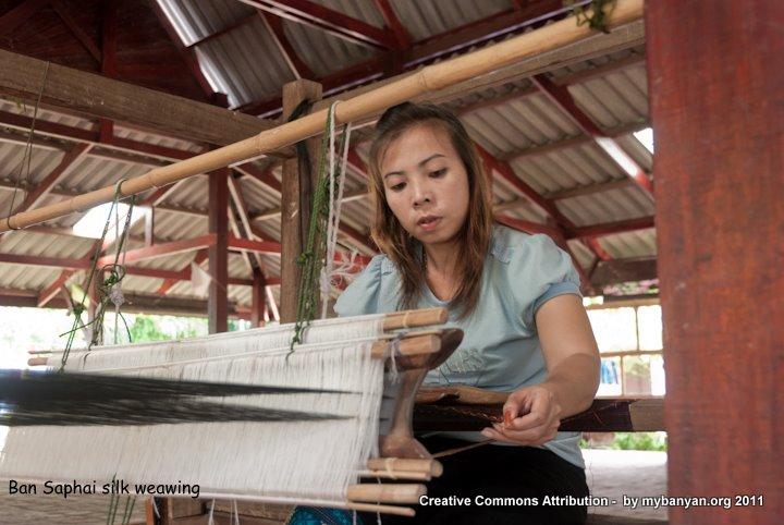 DSC_8303.jpg DSC_8303.jpg