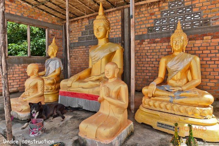 DSC_8379.jpg DSC_8379.jpg