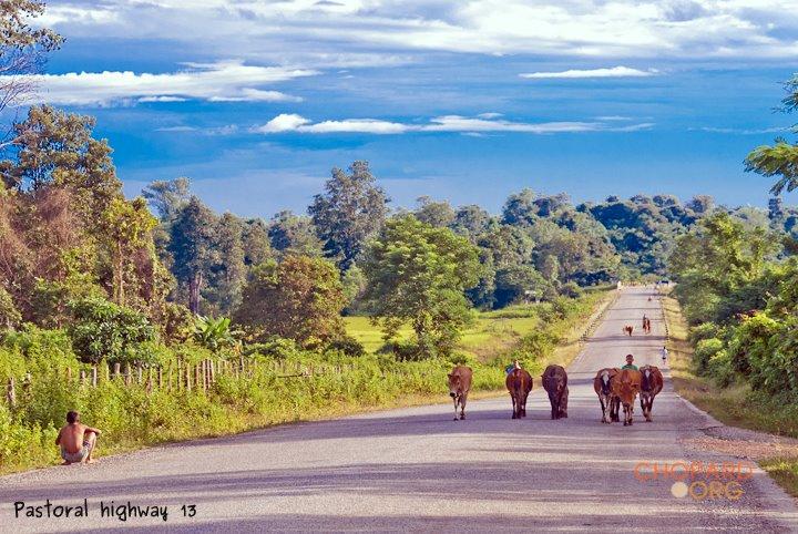 DSC_8496.jpg DSC_8496.jpg