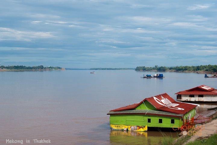 DSC_8517.jpg DSC_8517.jpg