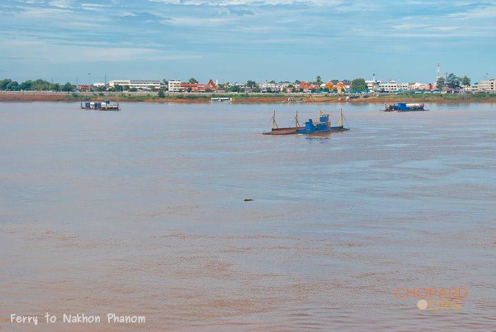 DSC_8528.jpg DSC_8528.jpg