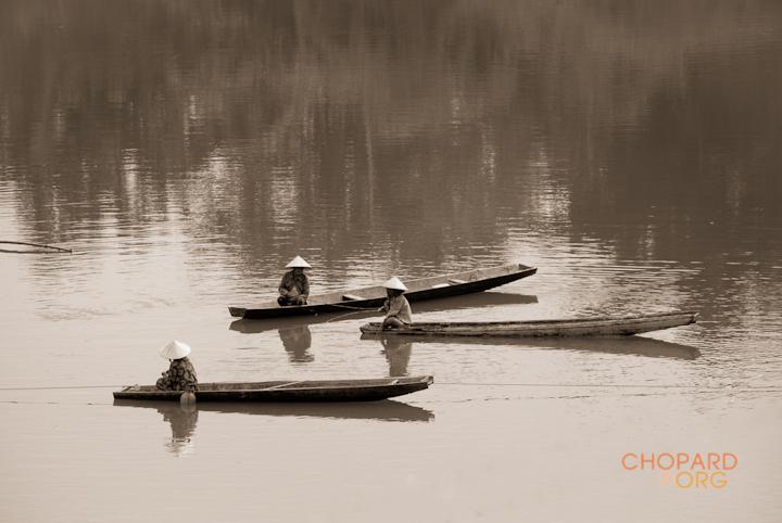 DSC_8533.jpg DSC_8533.jpg