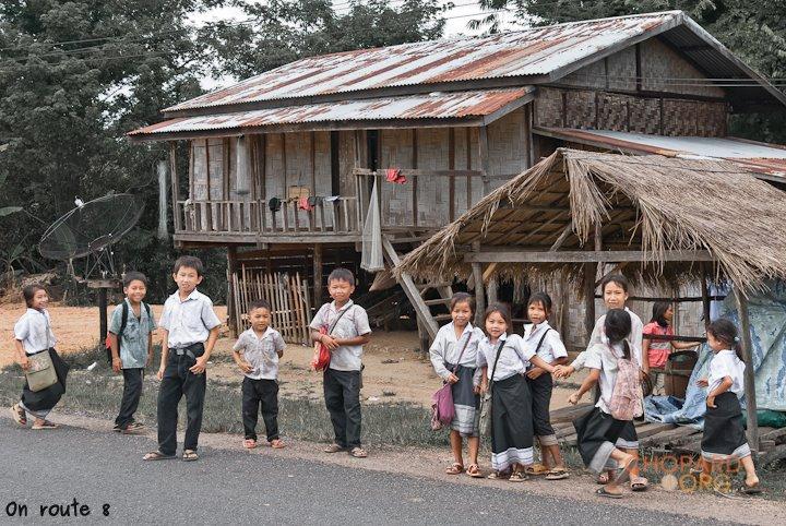 DSC_8568.jpg DSC_8568.jpg