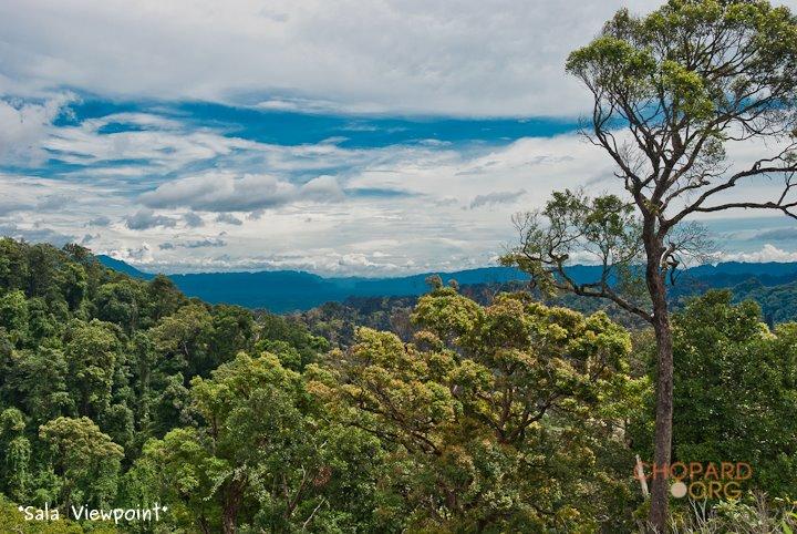 DSC_8593.jpg DSC_8593.jpg