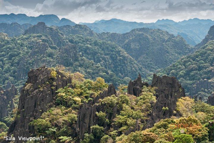 DSC_8603.jpg DSC_8603.jpg