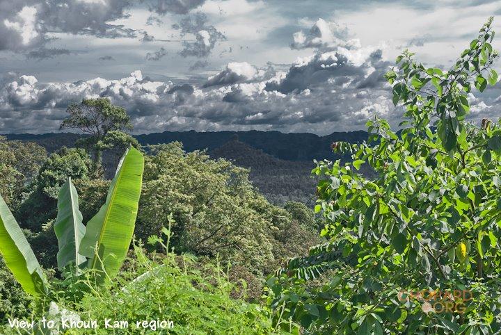 DSC_8612.jpg DSC_8612.jpg