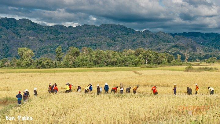 DSC_8625.jpg DSC_8625.jpg