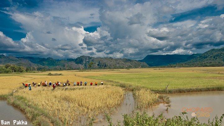 DSC_8633.jpg DSC_8633.jpg