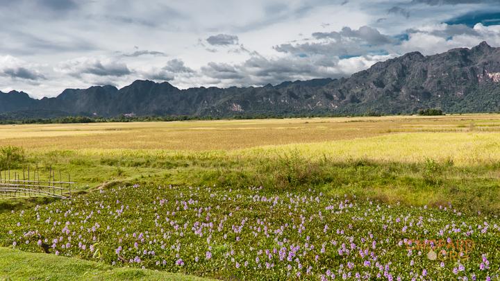 DSC_8647-Edit.jpg DSC_8647-Edit.jpg