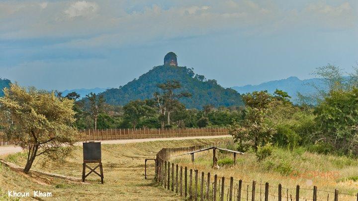 DSC_8668.jpg DSC_8668.jpg