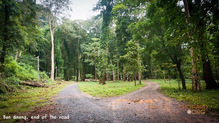 DSC_8699.jpg DSC_8699.jpg