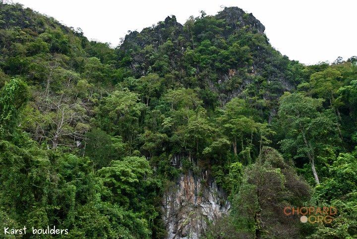 DSC_8705.jpg DSC_8705.jpg