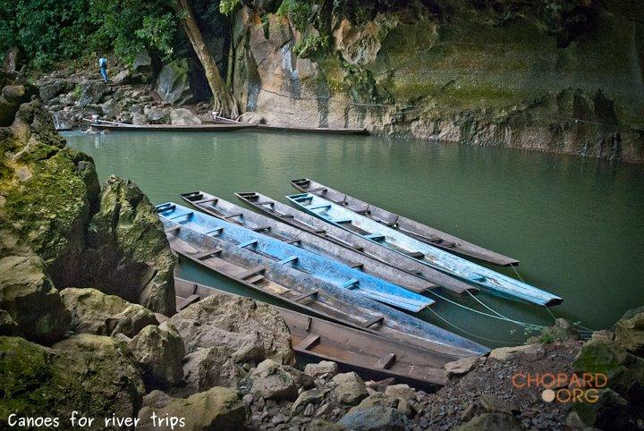 DSC_8718.jpg DSC_8718.jpg