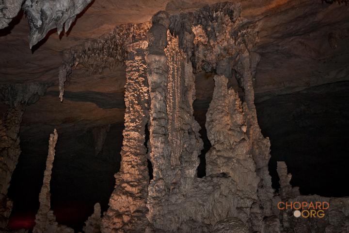 DSC_8730.jpg DSC_8730.jpg