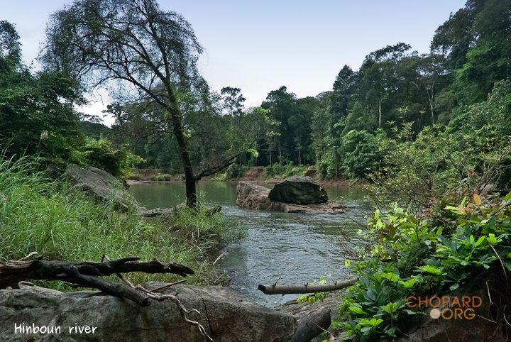 DSC_8767-Edit.jpg DSC_8767-Edit.jpg