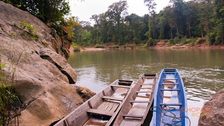 DSC_8771.jpg DSC_8771.jpg