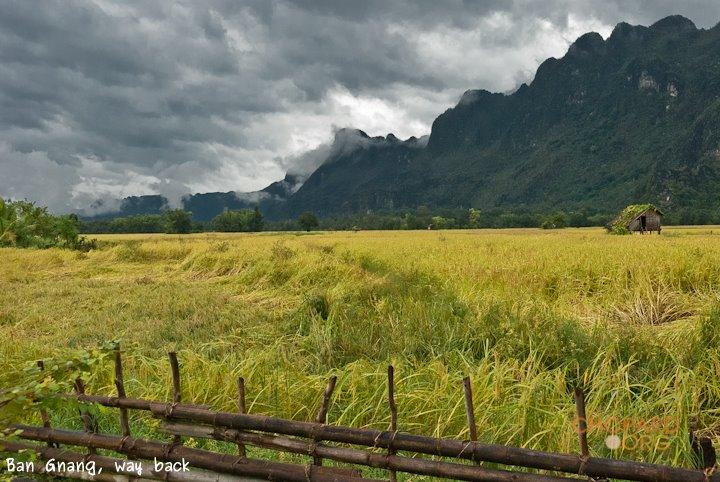 DSC_8782.jpg DSC_8782.jpg