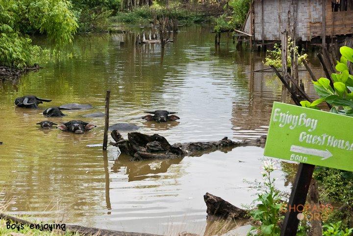 DSC_8783.jpg DSC_8783.jpg