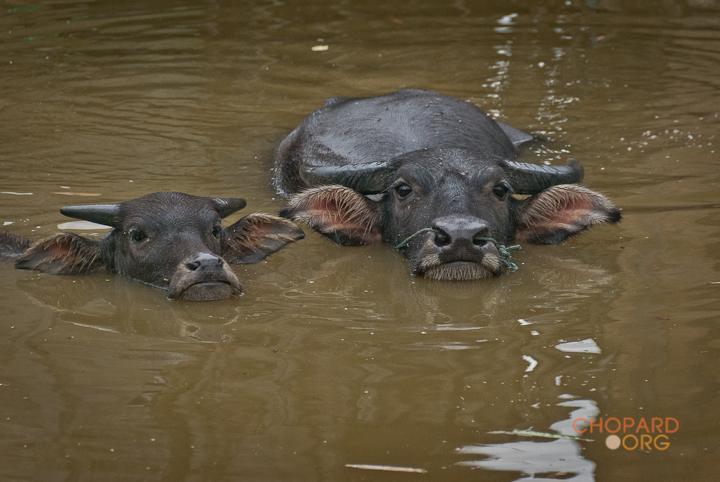 DSC_8790.jpg DSC_8790.jpg