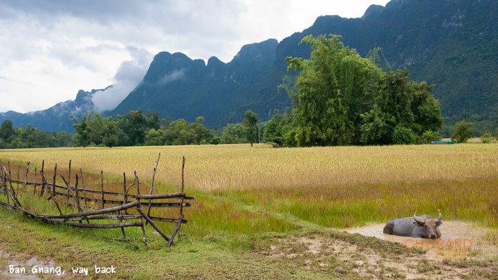 DSC_8797.jpg DSC_8797.jpg