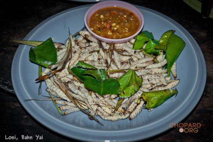 DSC_8818.jpg DSC_8818.jpg