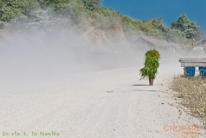 DSC_9528.jpg DSC_9528.jpg