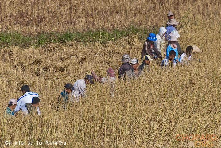 DSC_9545.jpg DSC_9545.jpg