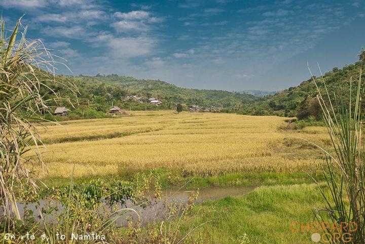 DSC_9547.jpg DSC_9547.jpg