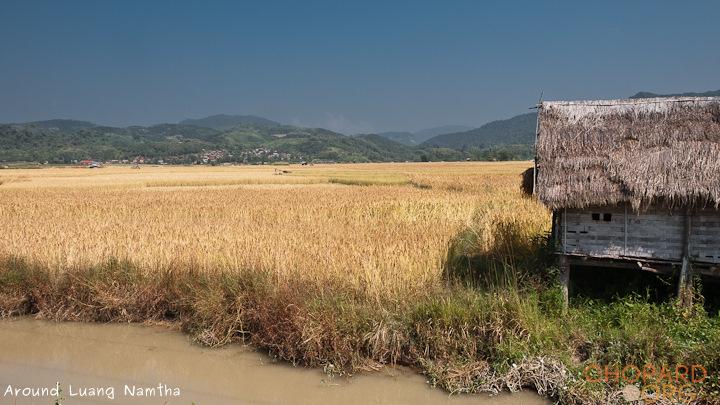 DSC_9679.jpg DSC_9679.jpg