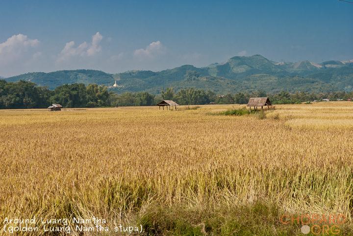 DSC_9682.jpg DSC_9682.jpg