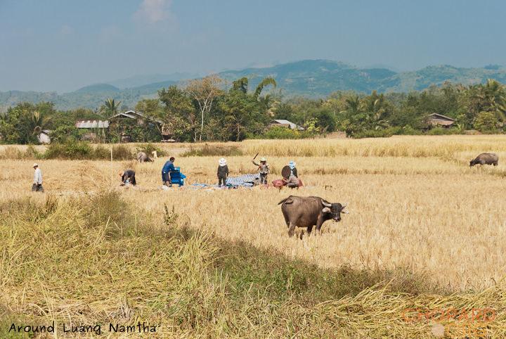 DSC_9685.jpg DSC_9685.jpg