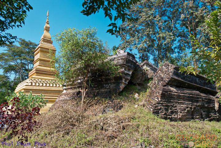 DSC_9701.jpg DSC_9701.jpg