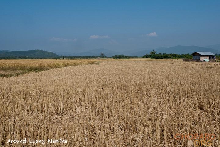 DSC_9713.jpg DSC_9713.jpg