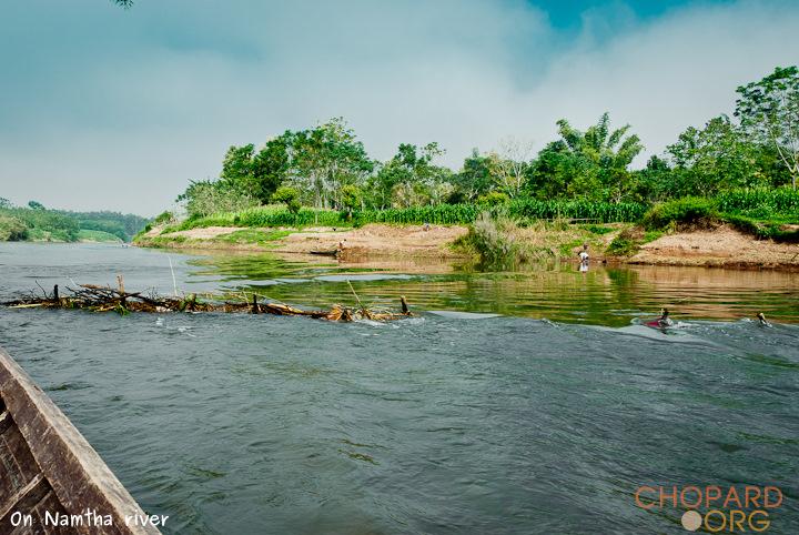 DSC_9728.jpg DSC_9728.jpg