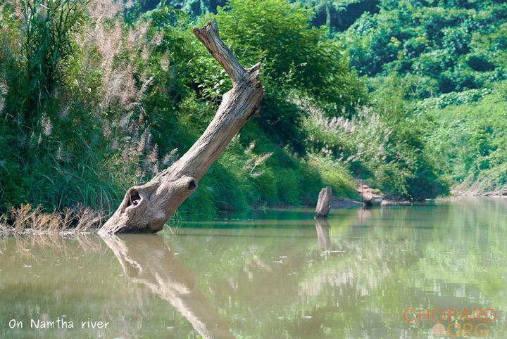 DSC_9737-Edit.jpg DSC_9737-Edit.jpg