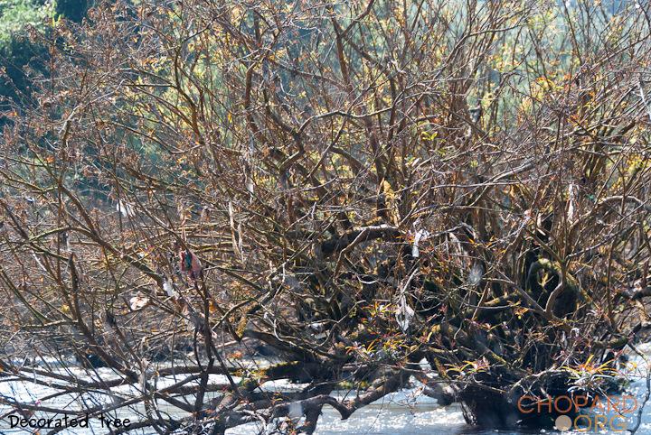 DSC_9813.jpg DSC_9813.jpg