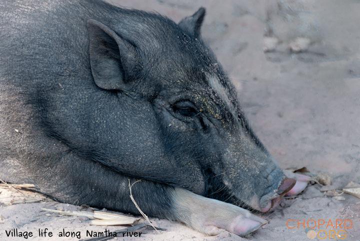 DSC_9928.jpg DSC_9928.jpg