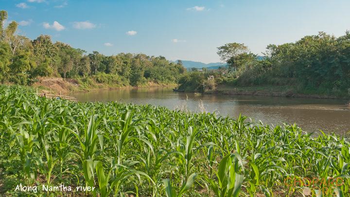 DSC_9973.jpg DSC_9973.jpg