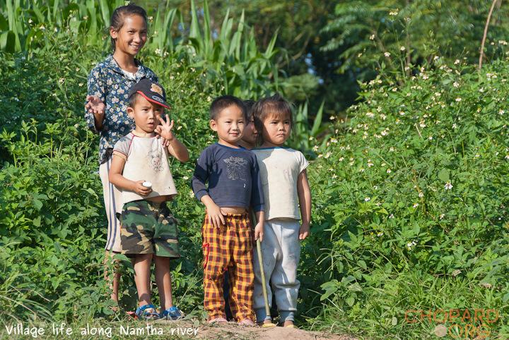 DSC_9981.jpg DSC_9981.jpg