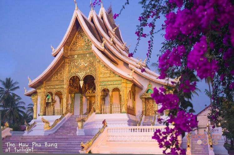 DSCF0542.jpg DSCF0542.jpg