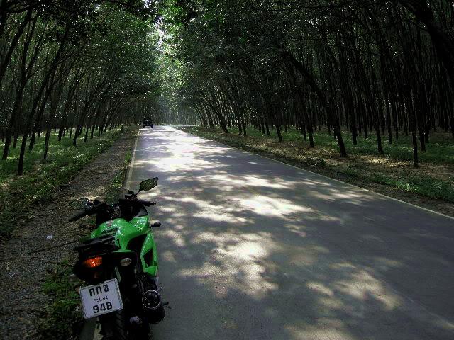 DSCN0636.jpg DSCN0636.jpg