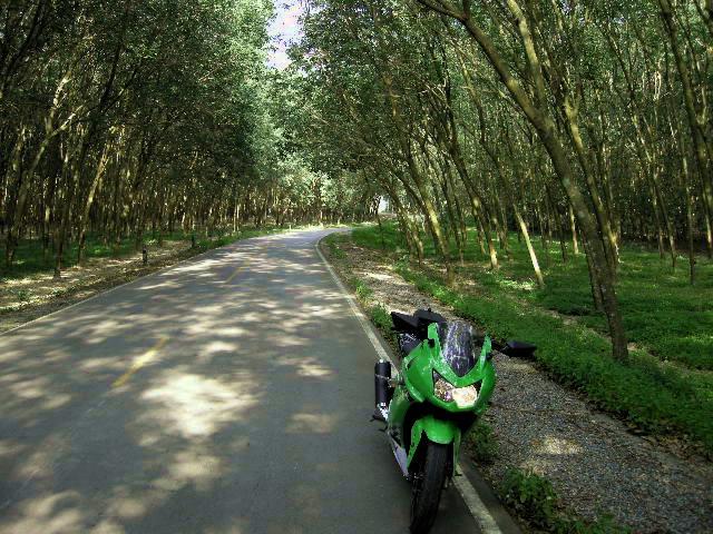 DSCN0637.jpg DSCN0637.jpg