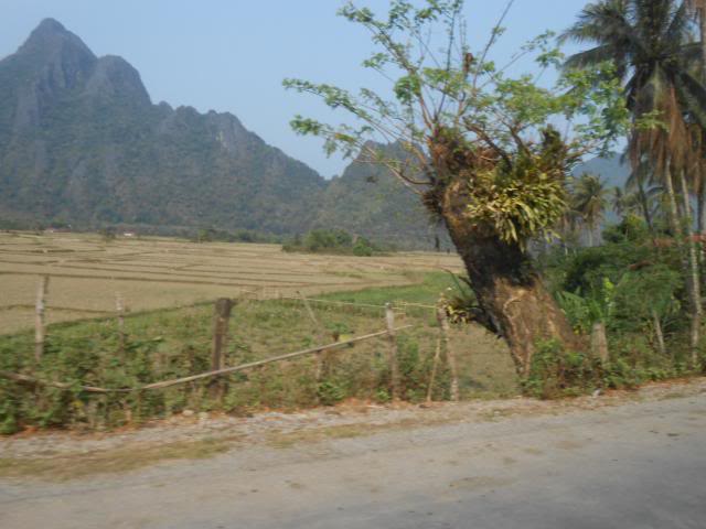 DSCN3185.jpg